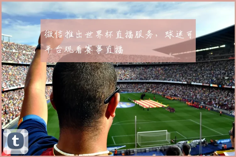 微信推出世界杯直播服务，球迷可平台观看赛事直播