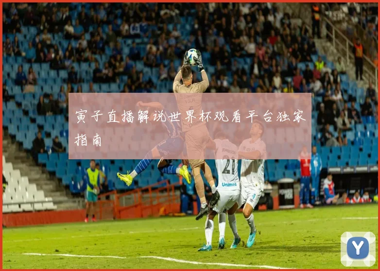 寅子直播解说世界杯观看平台独家指南