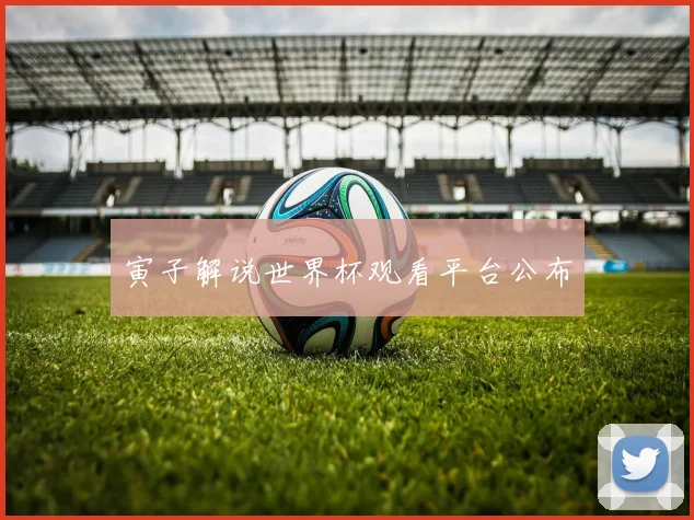 寅子解说世界杯观看平台公布