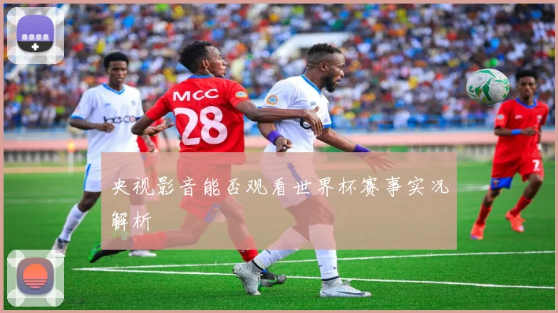 央视影音能否观看世界杯赛事实况解析