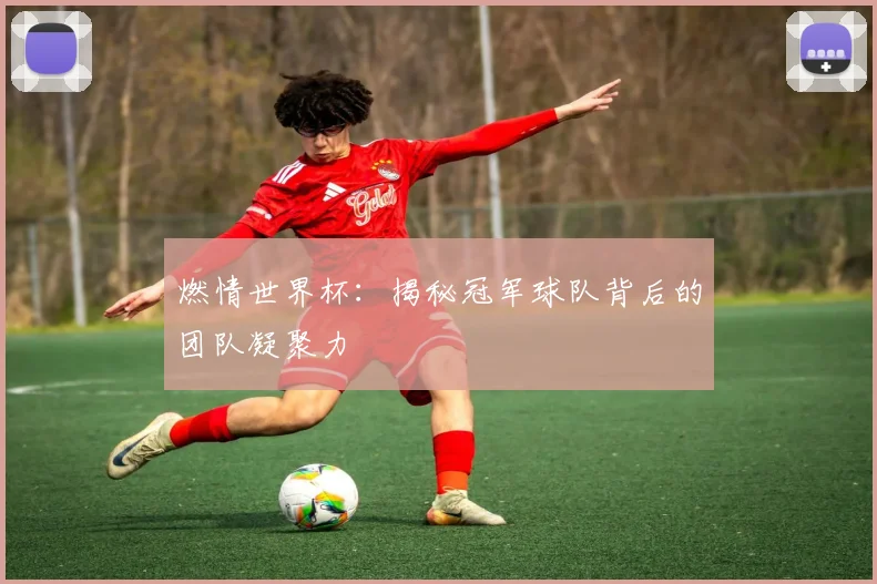 燃情世界杯：揭秘冠军球队背后的团队凝聚力