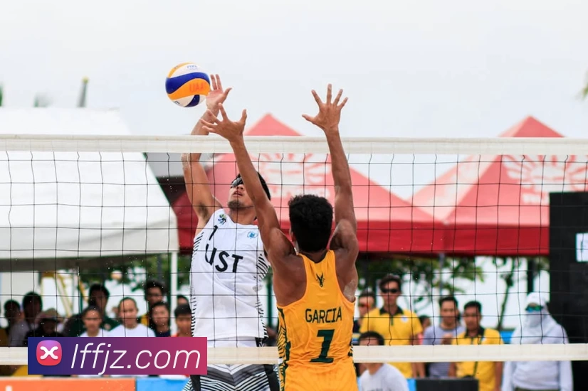 十大信誉好的平台平台生态图